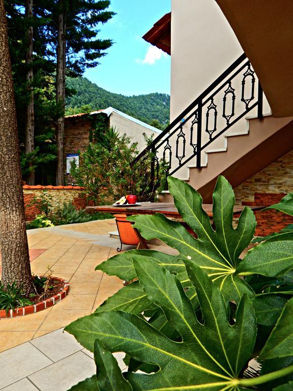 Panorama Apartments And Studios Chrysi Ammoudia ภายนอก รูปภาพ